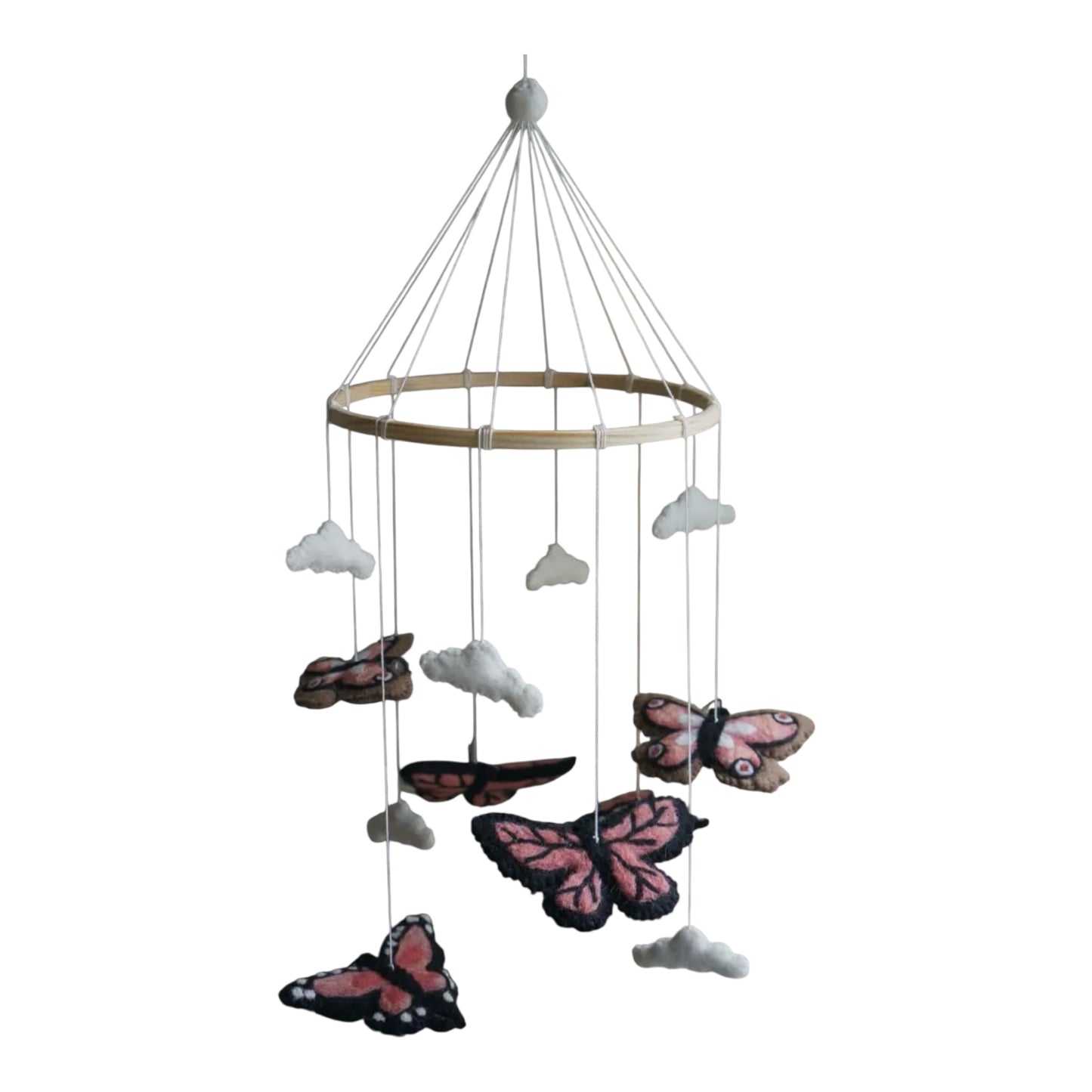 Sommerfugle uro - koral