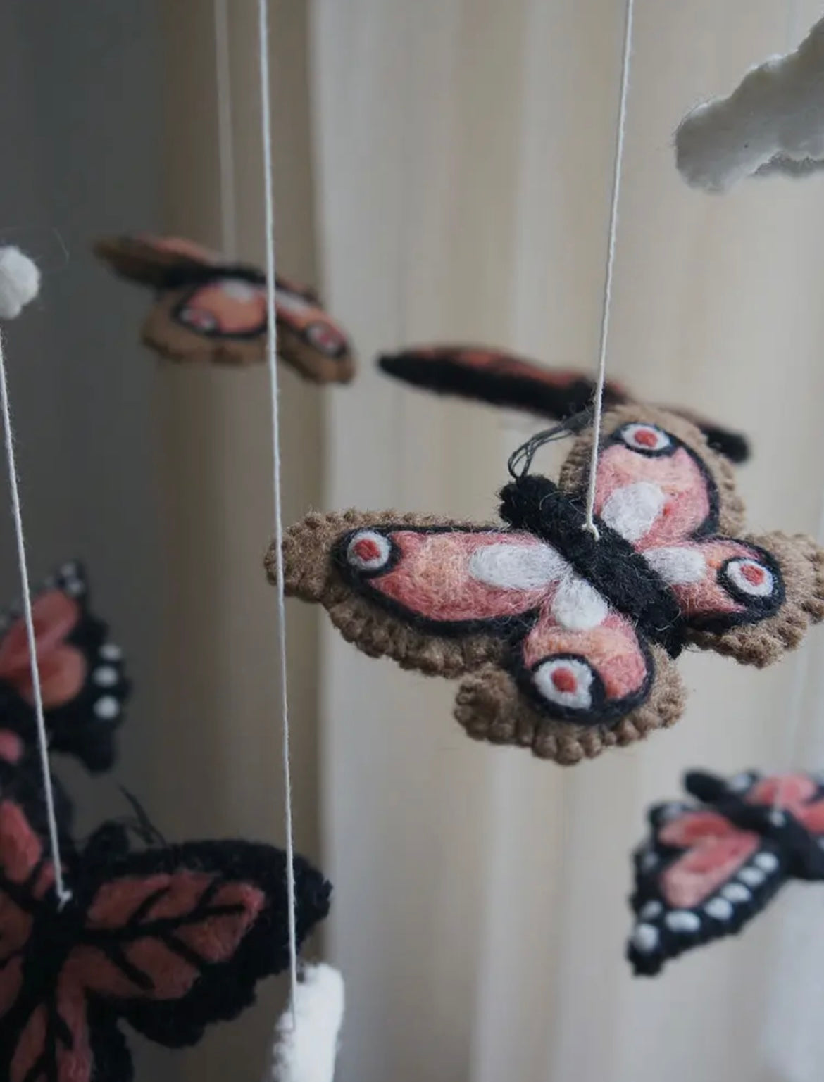 Sommerfugle uro - koral